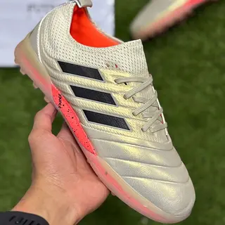 Copa Torretin Dorada