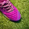 Lunar Gato Morada
