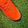 Lunar Gato Naranja