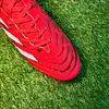 Predator 24 Rojo