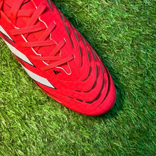 Predator 24 Rojo