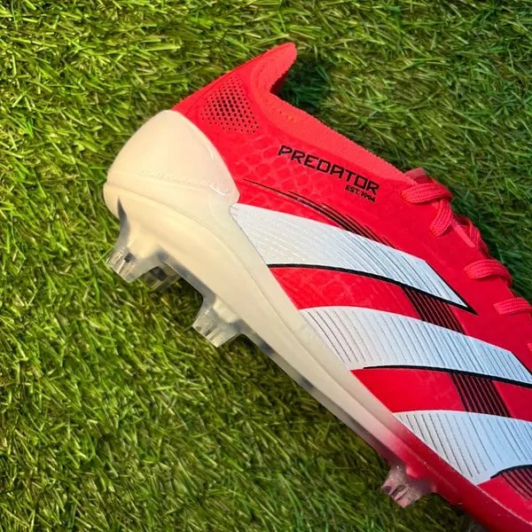 Predator 24 Rojo